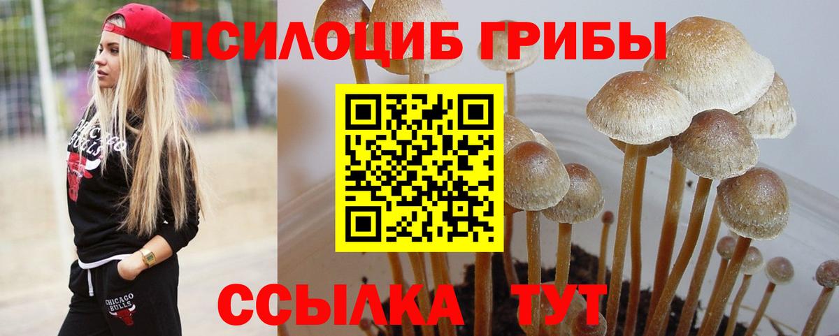 Галлюциногенные грибы ЛСД Кимовск