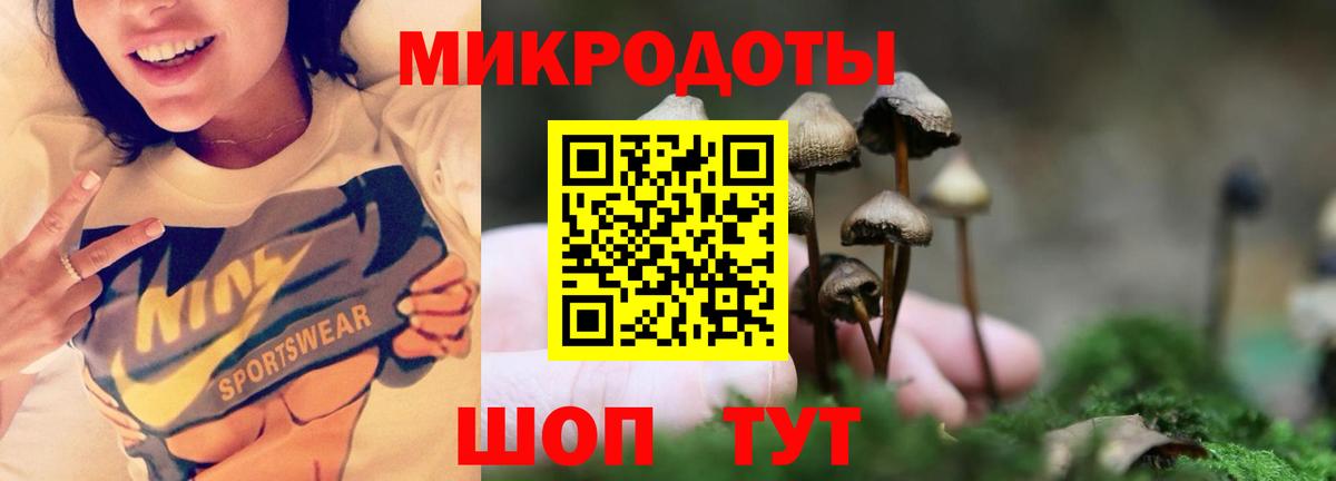 Галлюциногенные грибы мицелий  Вход с VPN  Кимовск 